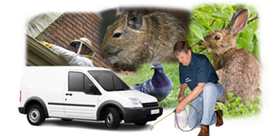 Rossendale local van